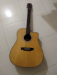 Guitar গিটার